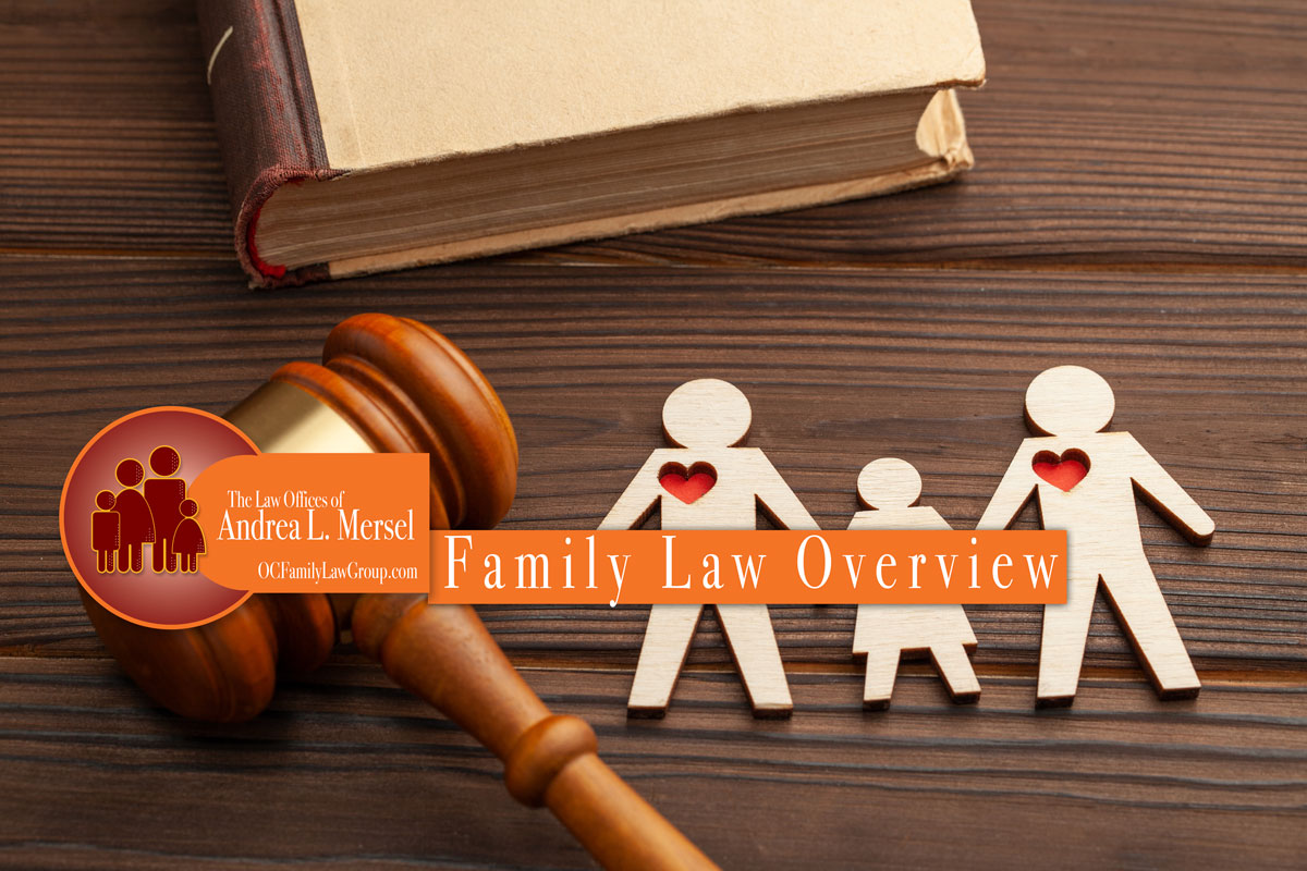 What Is a Family Law Expert? A Complete Overview
