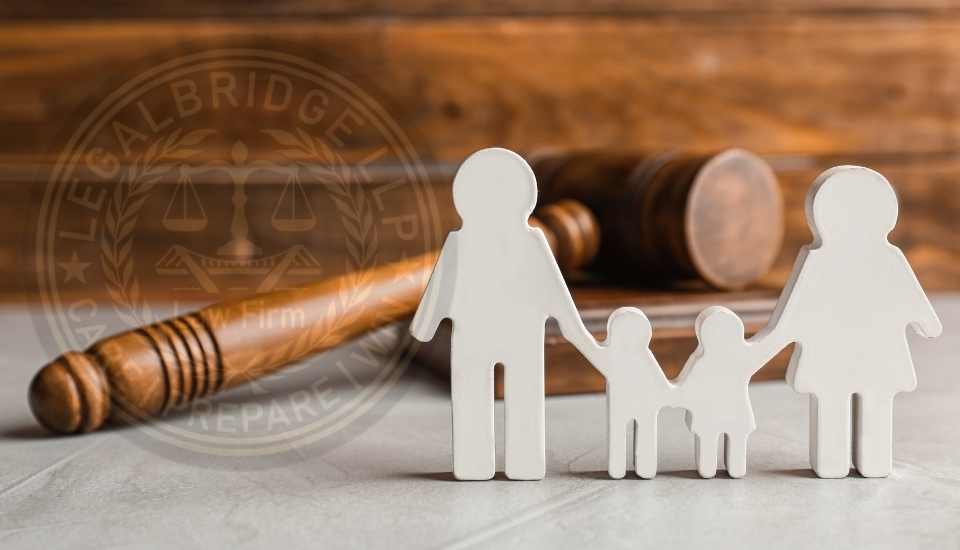 Family Law Expertise for Adoption, Divorce & More